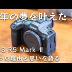 【カメラ】EOS R5 Mark Ⅱを買った理由と購入した思いを紹介！長年の夢を叶えました！